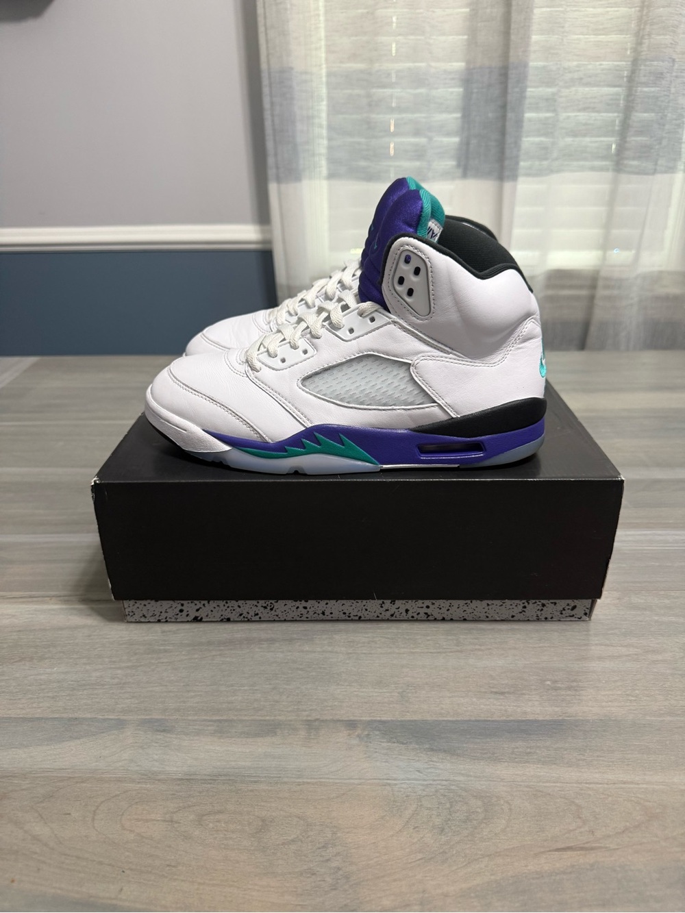 Jordan 5